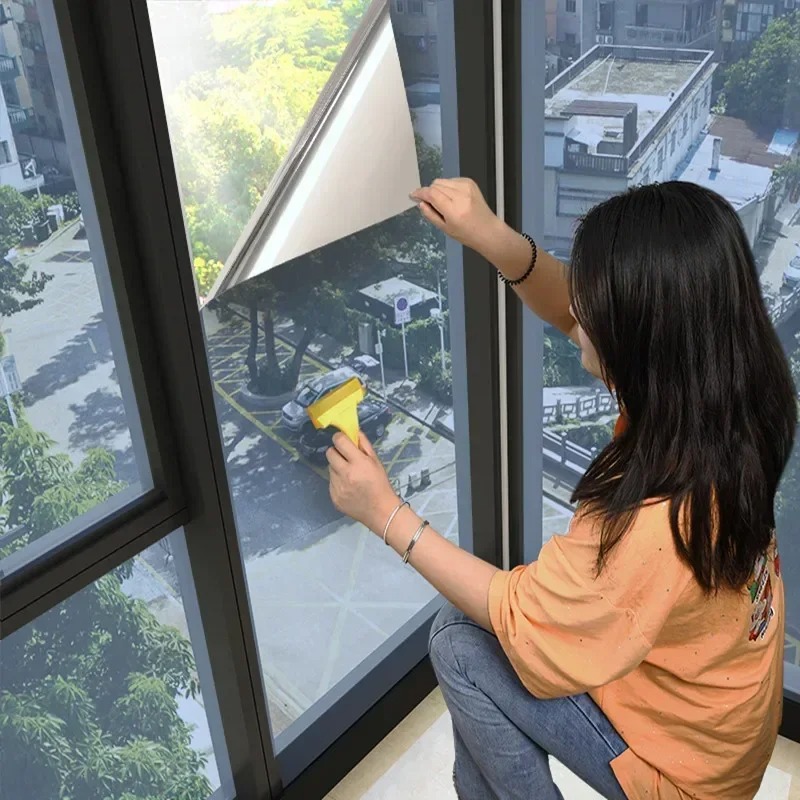 House Window Privacy Film Adhe - Car Mirror 评论和价格